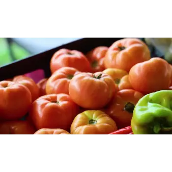 Tomato (25)-2738501-14965.webp
